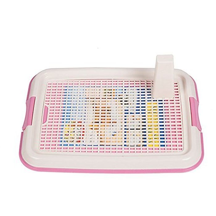 Нохойн жорлон