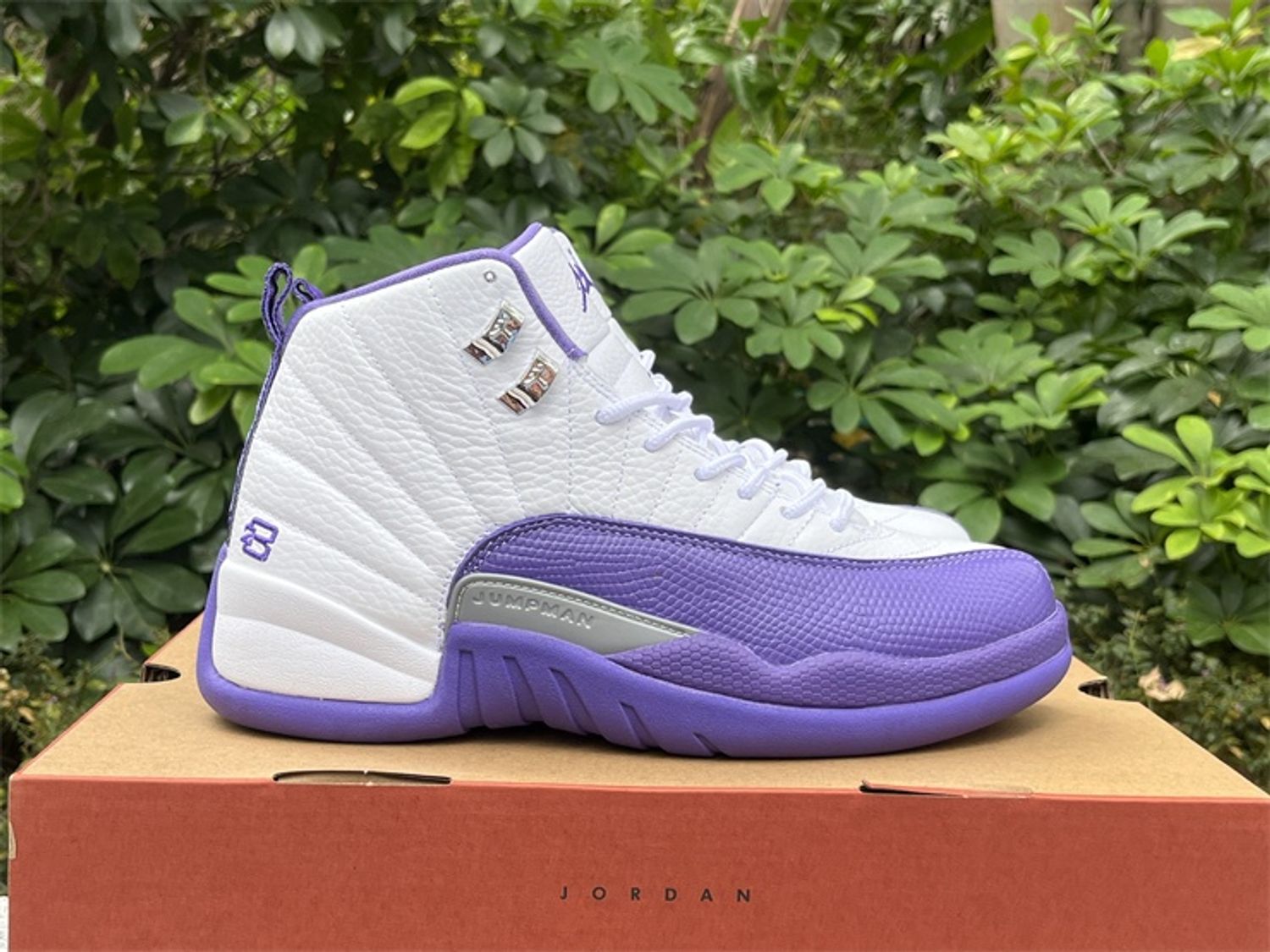 Air Jordan 12 PAICU 