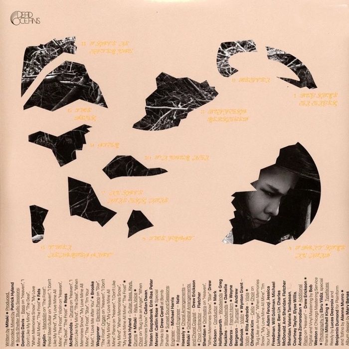 Mitski - The Land Is Inhospitabl