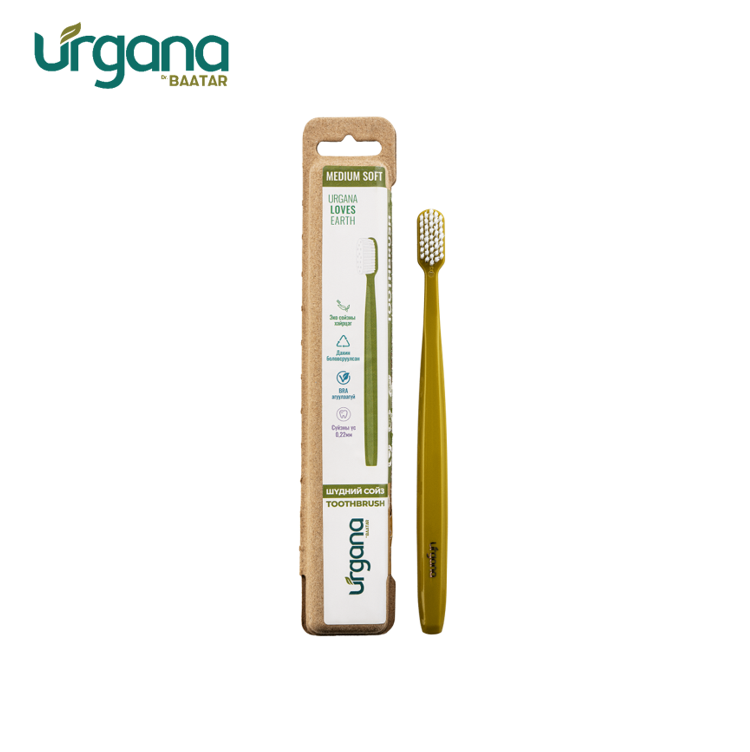 Том хүний сойз / Олив ногоон /