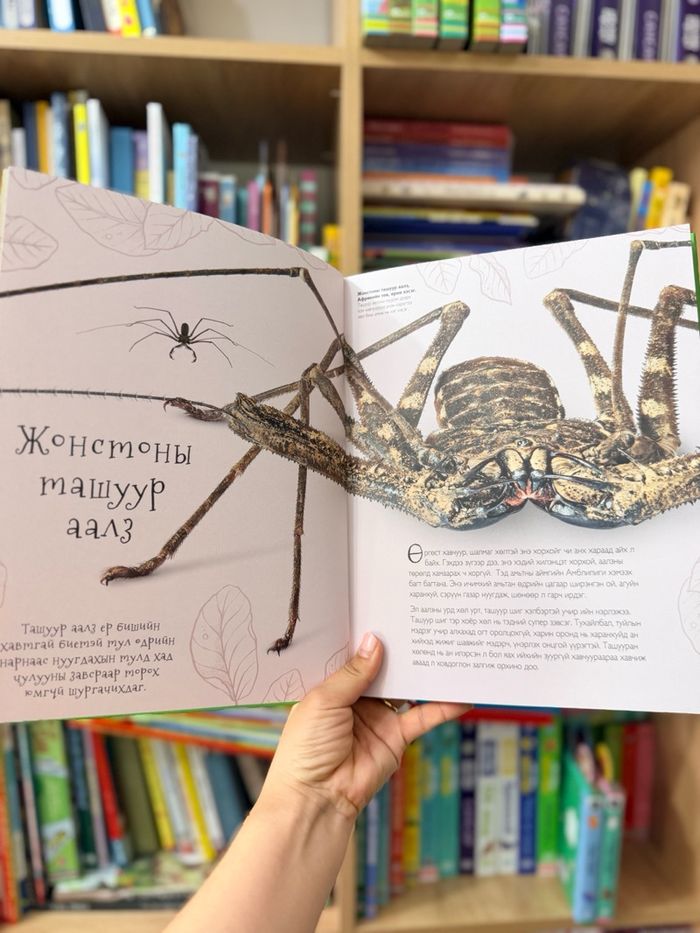 Гайхамшигт хорхой