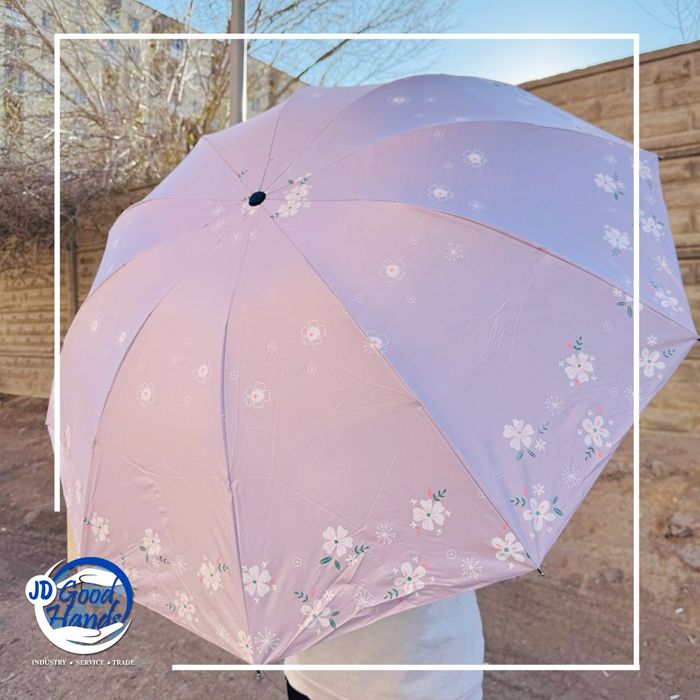 Зоонтог цэцэгтэй, өнгөлөг