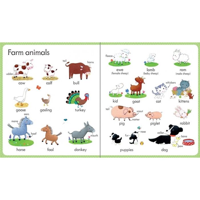 My First Word Book On The Farm