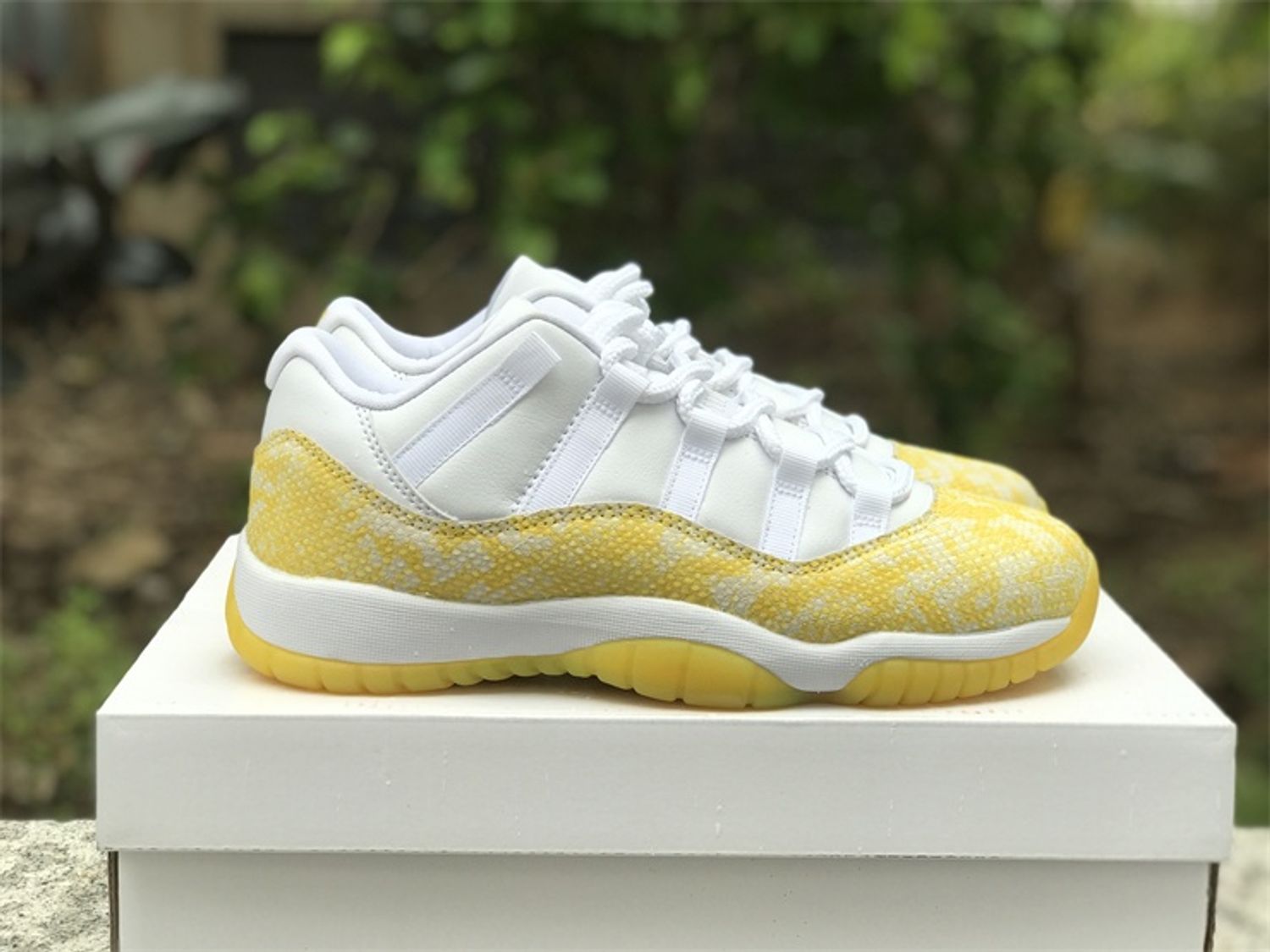  Air Jordan 11 Low WMNS “Yellow Snakeskin”
