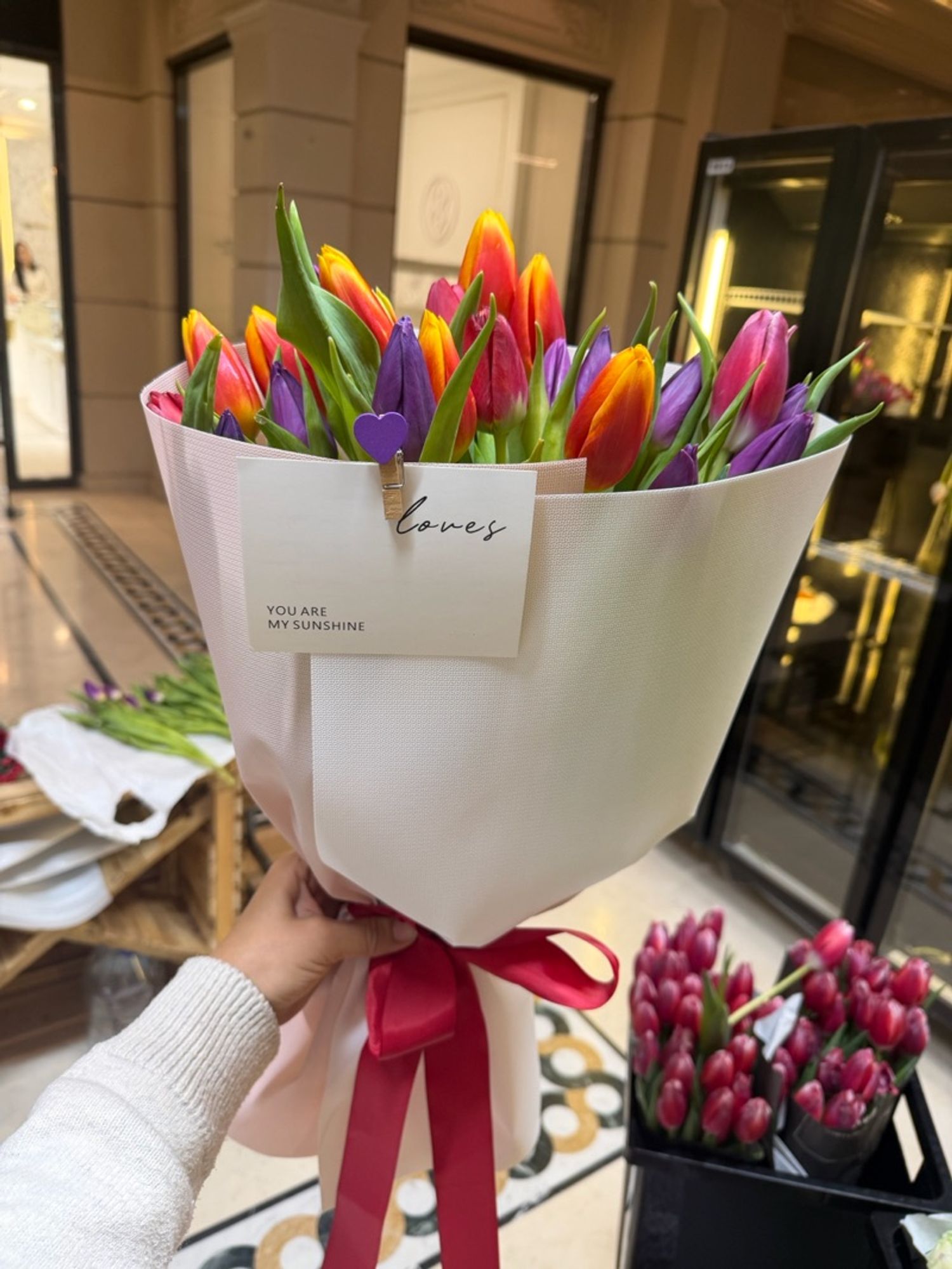 Голланд алтанзул холимог