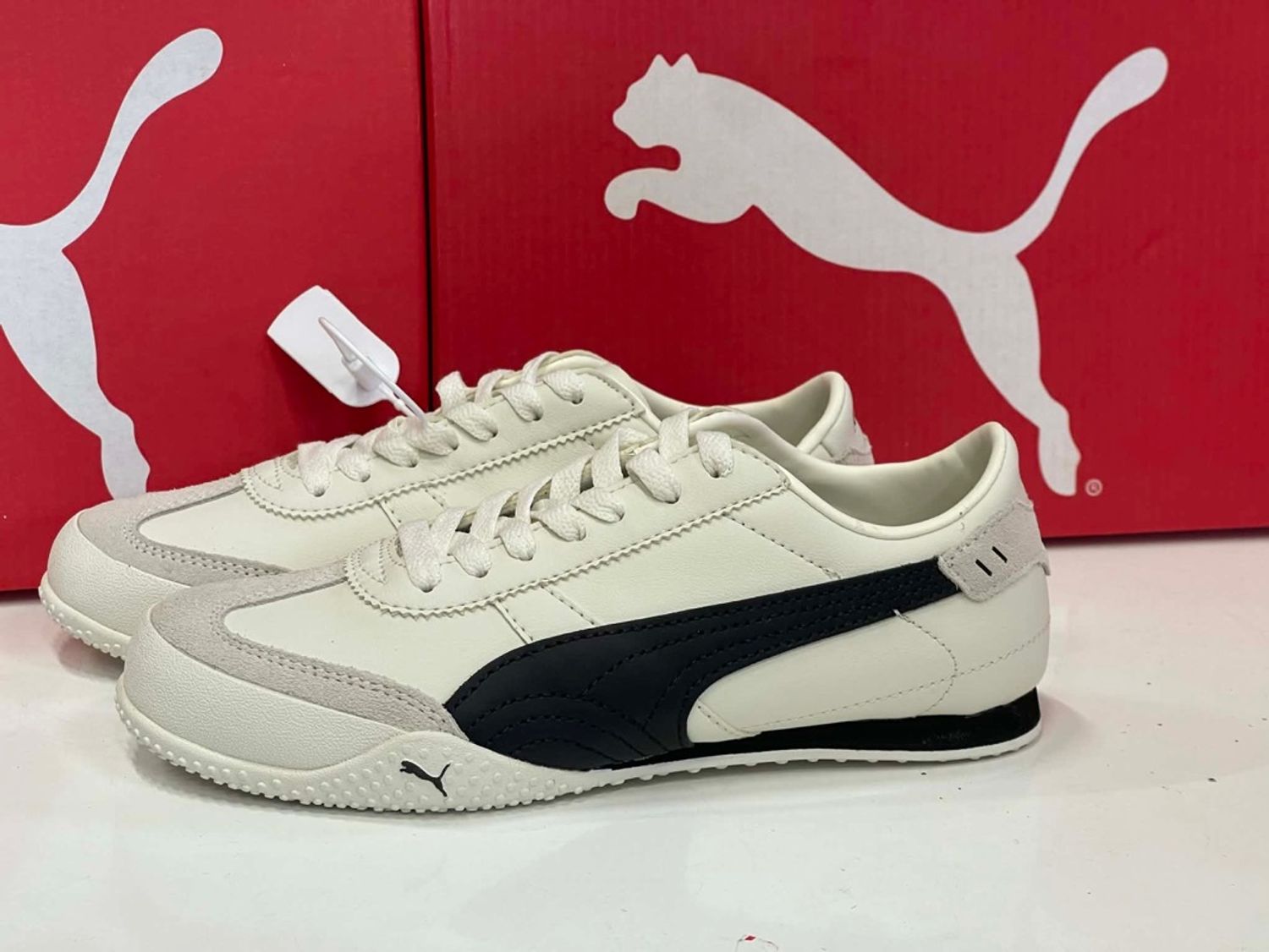 Puma beige