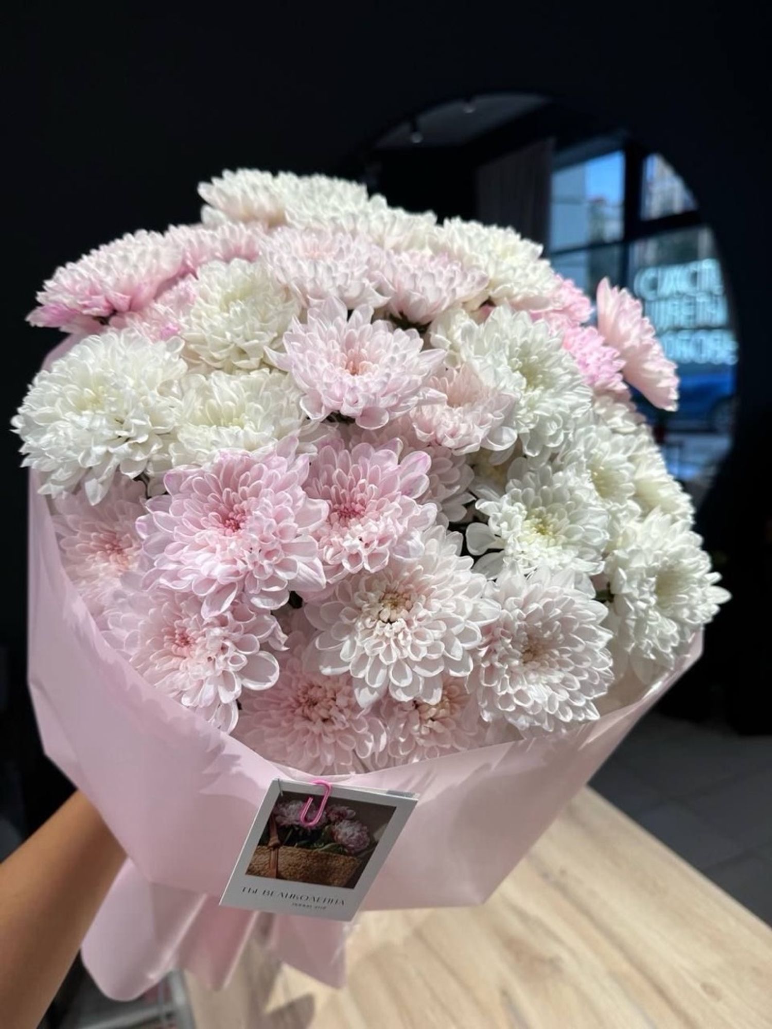 Голланд chrysanth