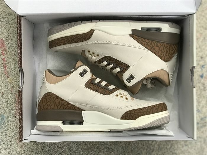 Jordan 3 Retro Palomino