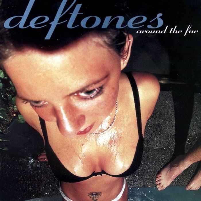 deftones - around the fur