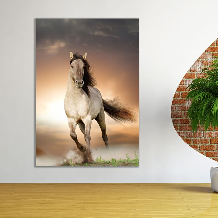 Давхиж буй морь