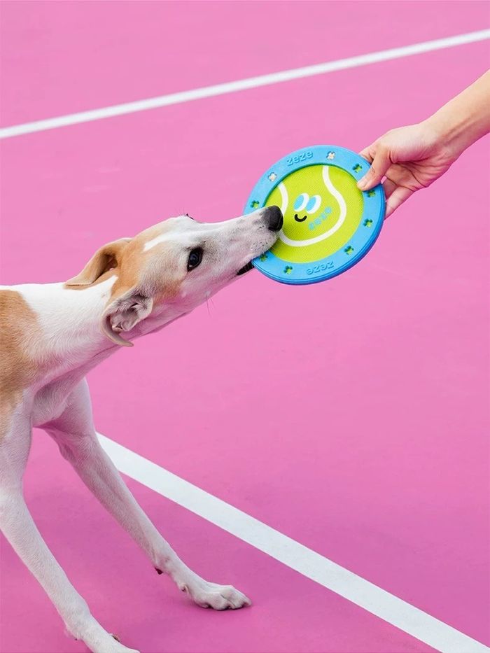 Tennis Pet Flying Disc - Frisbee