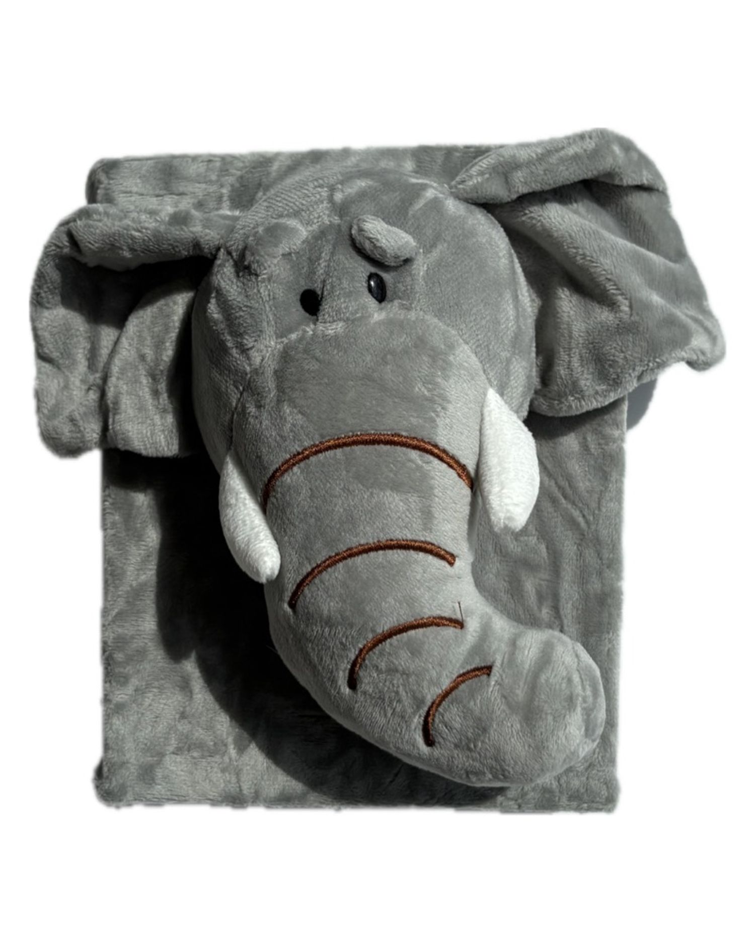 Зургийн цомог - Заан 