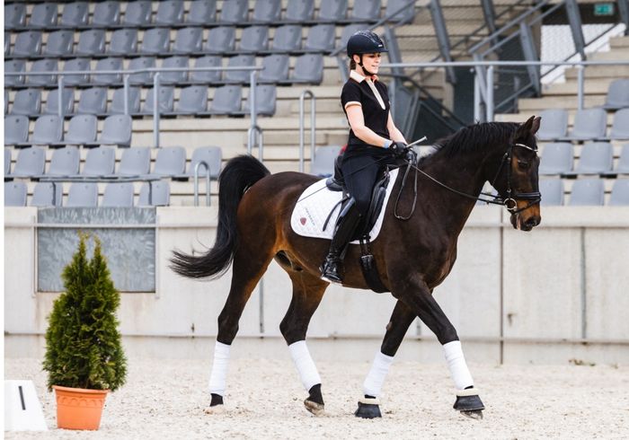 THE SECOND SKIN I, Ivory