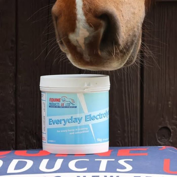  Эрдэс нөхөгч 