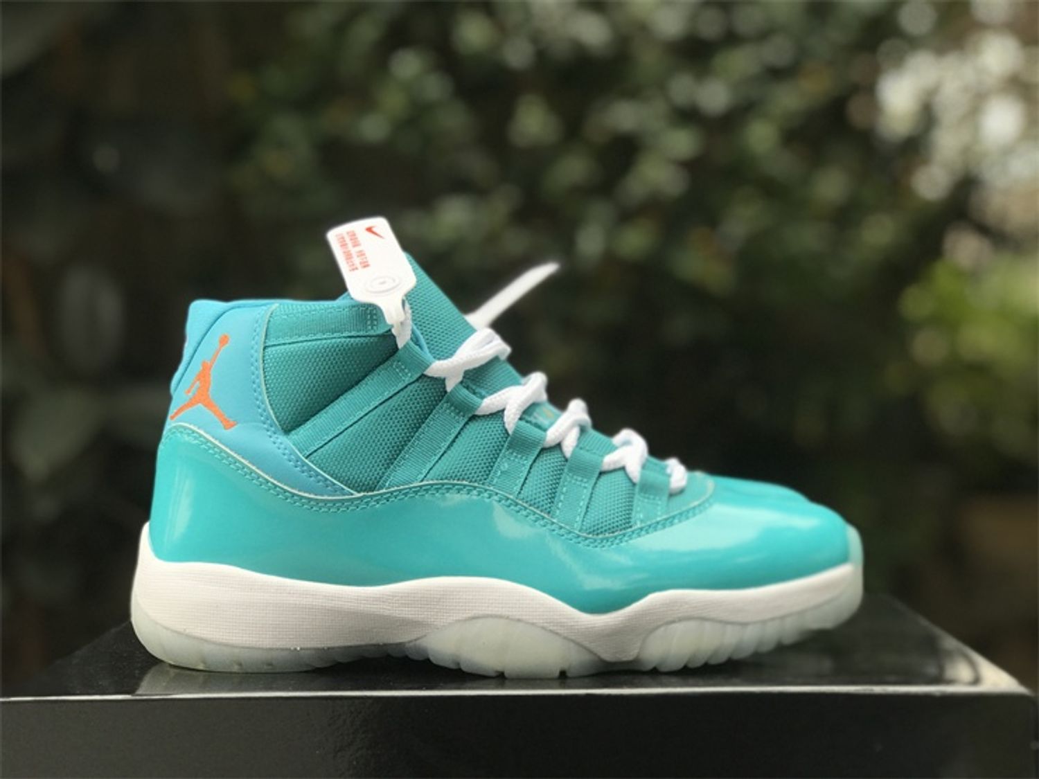 Air Jordan 11 Tiffany