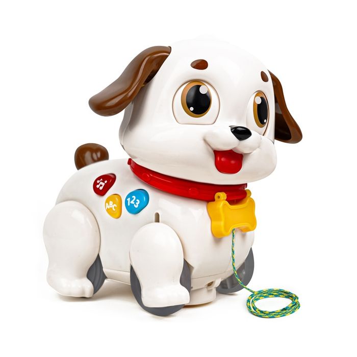 Hola - Puppy