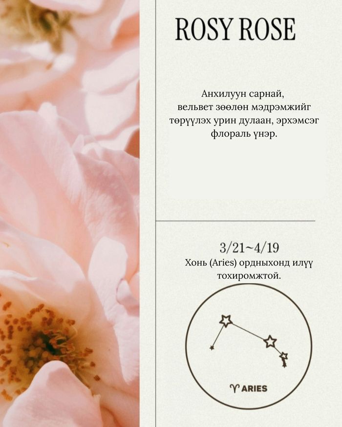 Perfume Hand Cream 50ml Rosy Rose