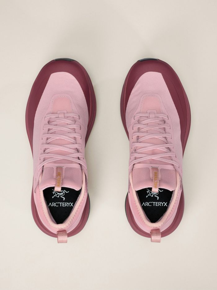 Arc'teryx | Sylan GTX | Women 