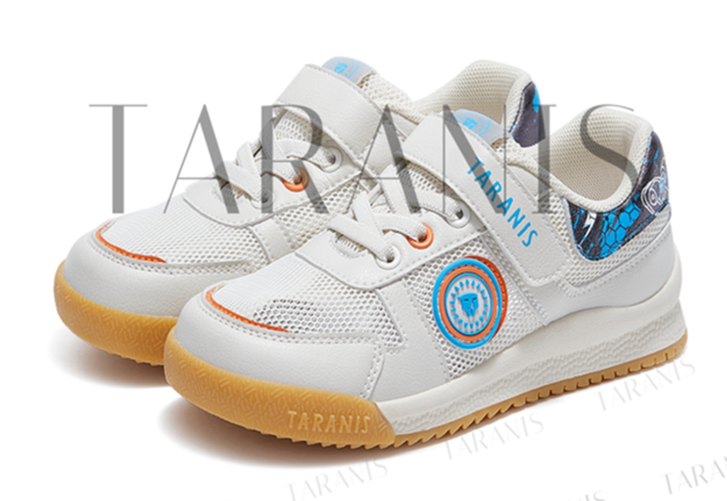 Сеткэн пүүз