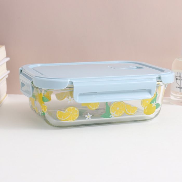 600mL/20.28fl.oz. Fresh Fruits Series Rectangular Glass Preservation Box (Blue)