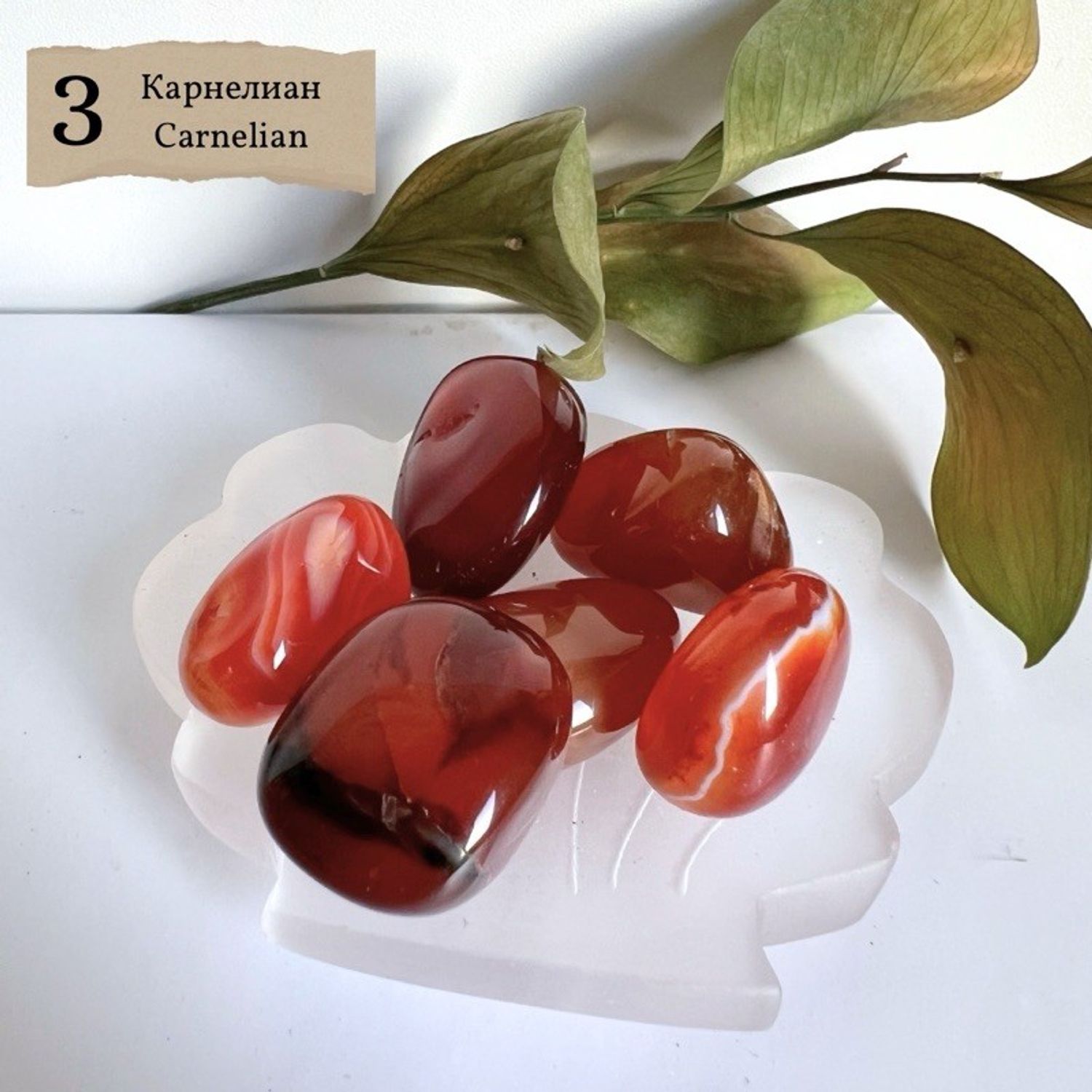 "Карнелиан" өнгөлсөн чулуу