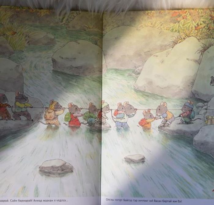 Ойн 14 хулгана НҮҮДЭЛ СУУДАЛ