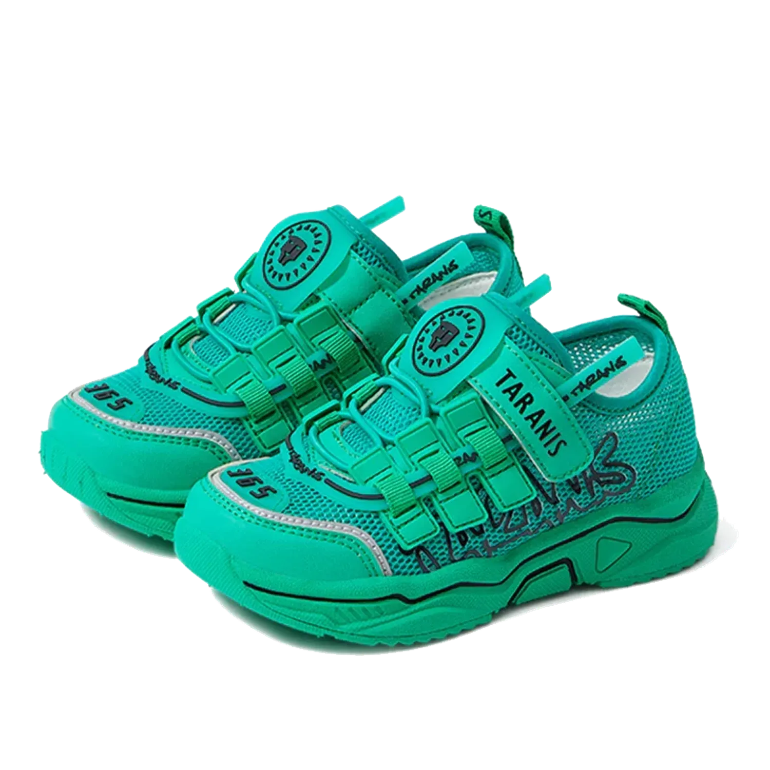 Сеткэн пүүз