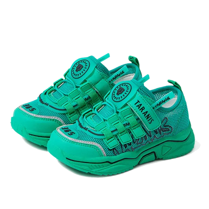 Сеткэн пүүз