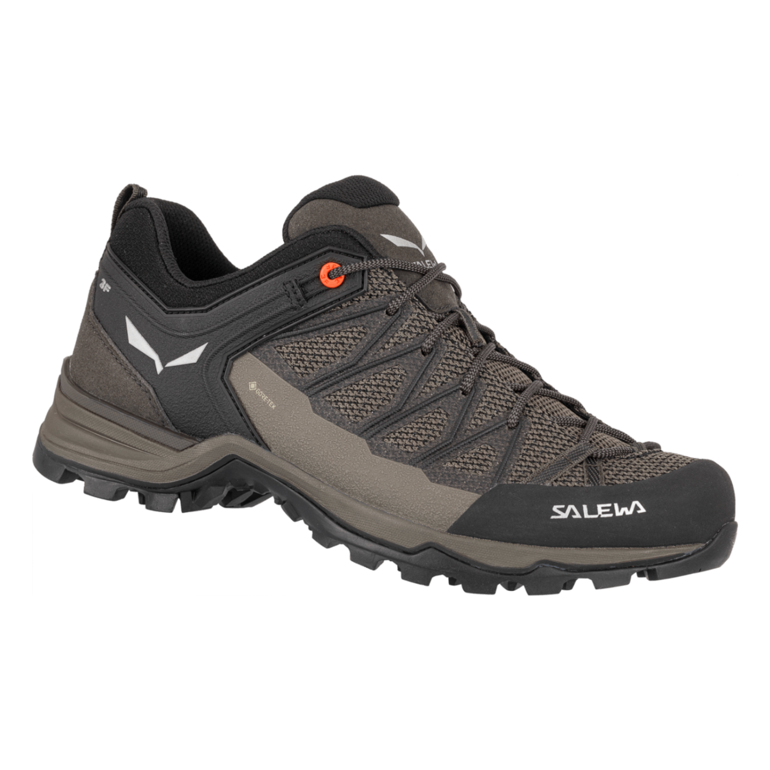 Salewa | Mountain Trainer Lite | GTX  | Men