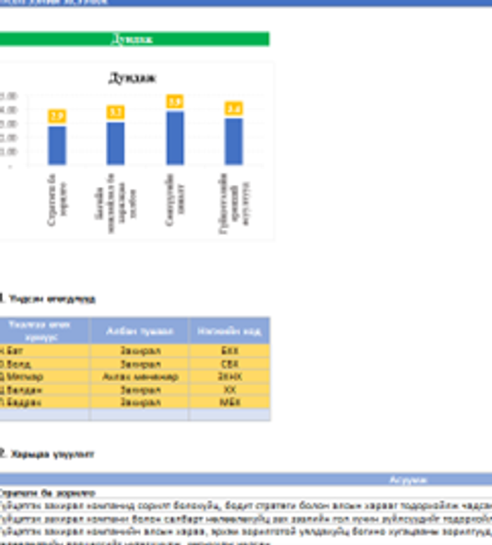 Гүйцэтгэх захирлын үнэлгээний загвар