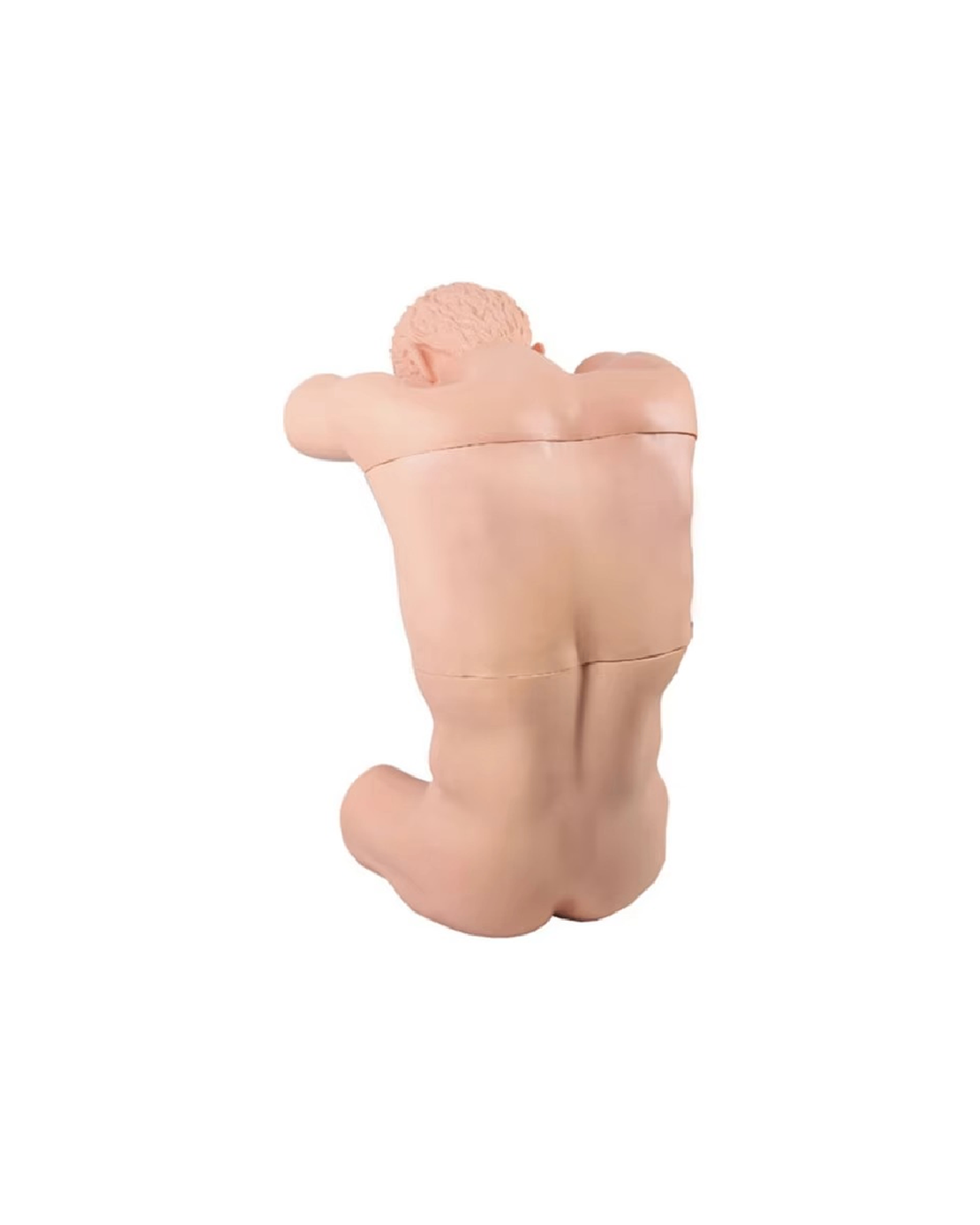 Цээжний хатгалтын стандартчилсан өвчтөн (Электрон)