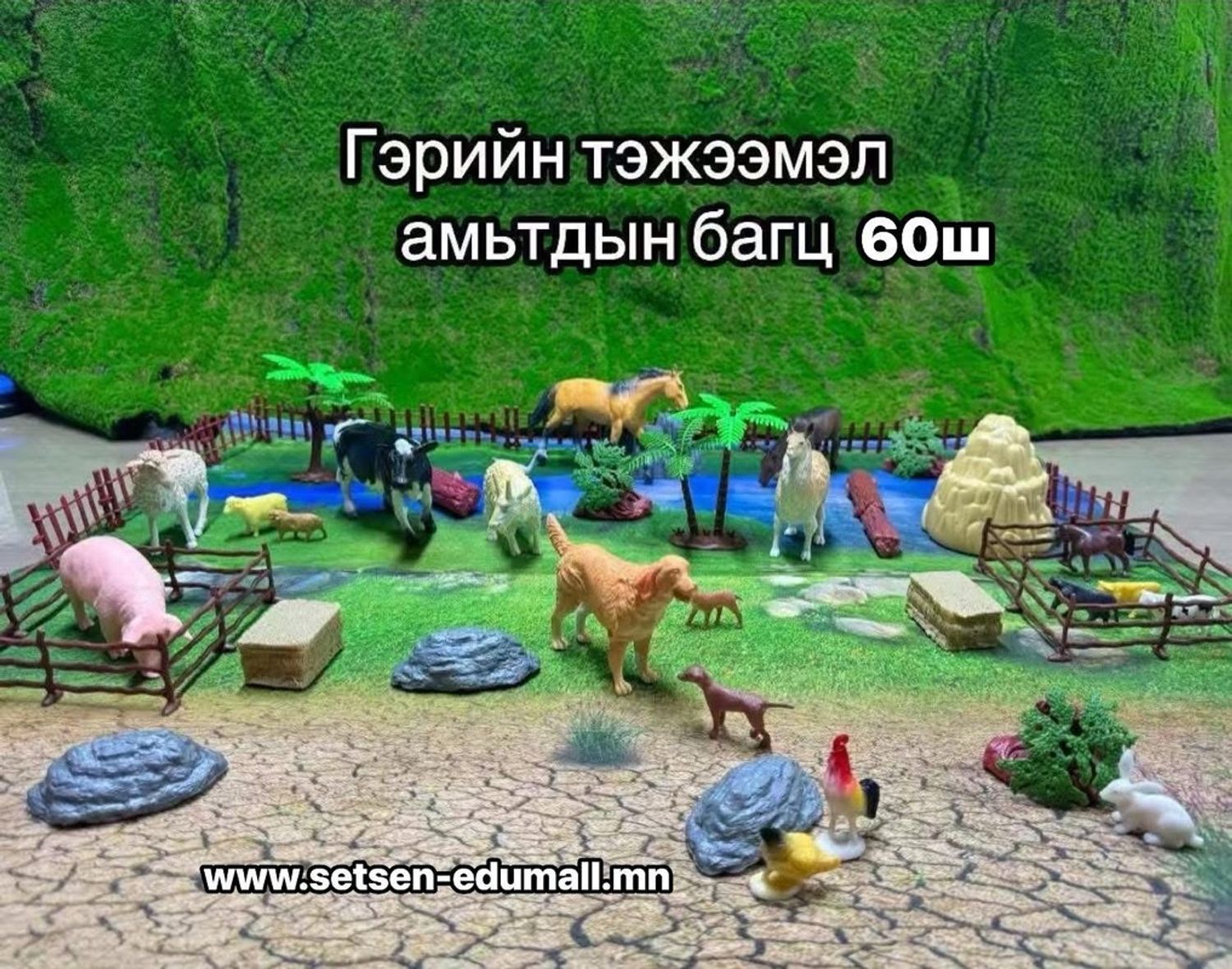 Гэрийн тэжээмэл амьтад 60ш ком