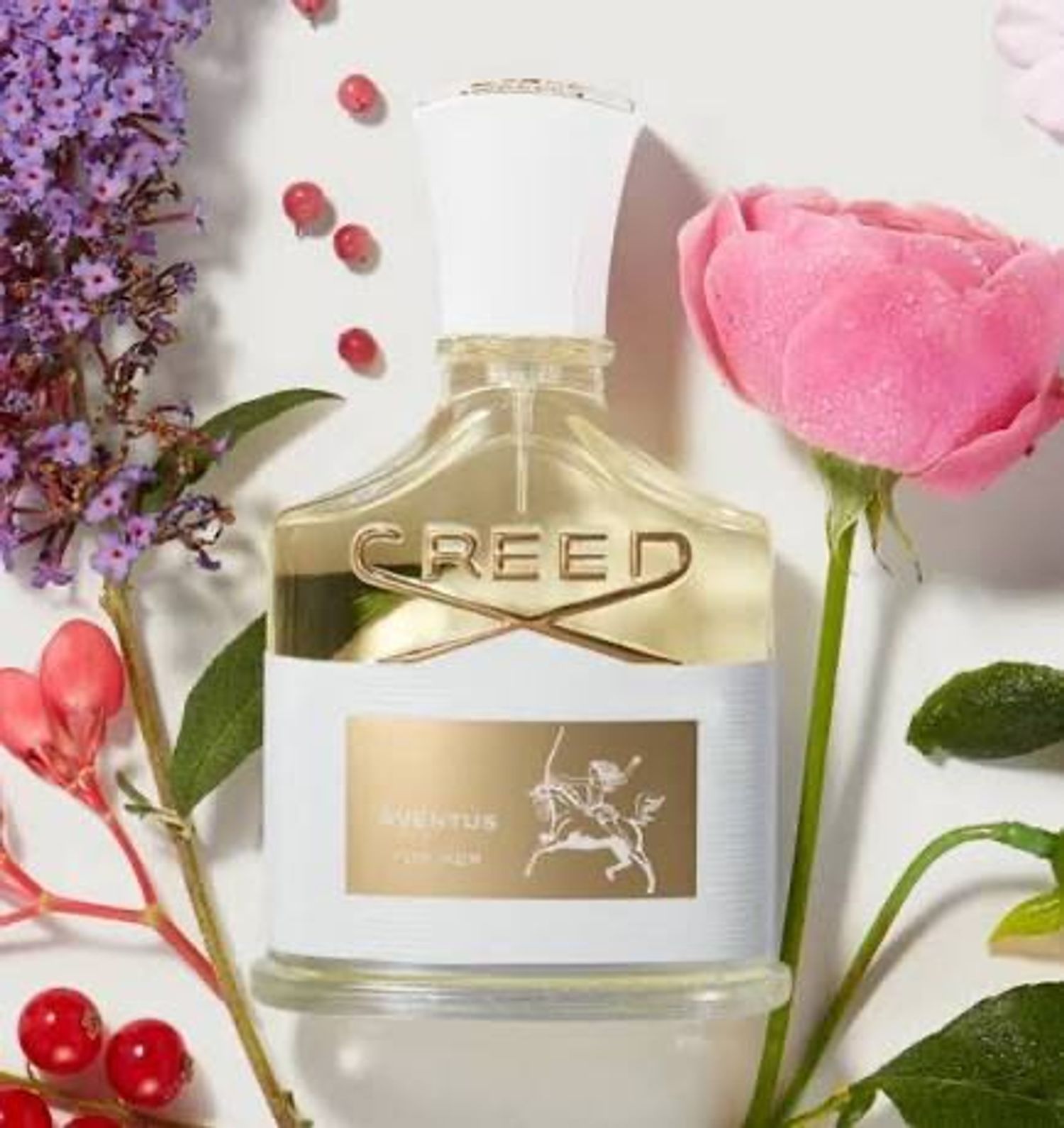 Creed Aventus for Her