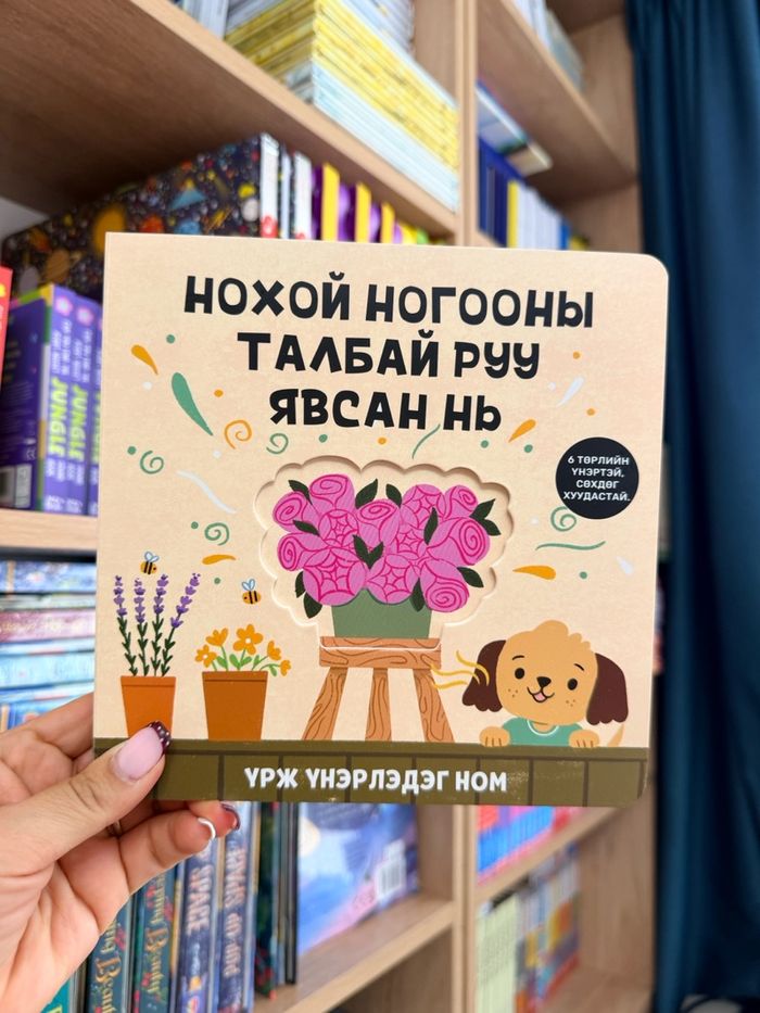 Нохой ногооны талбай руу явсан нь