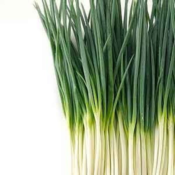 Нарийн ногоон сонгино