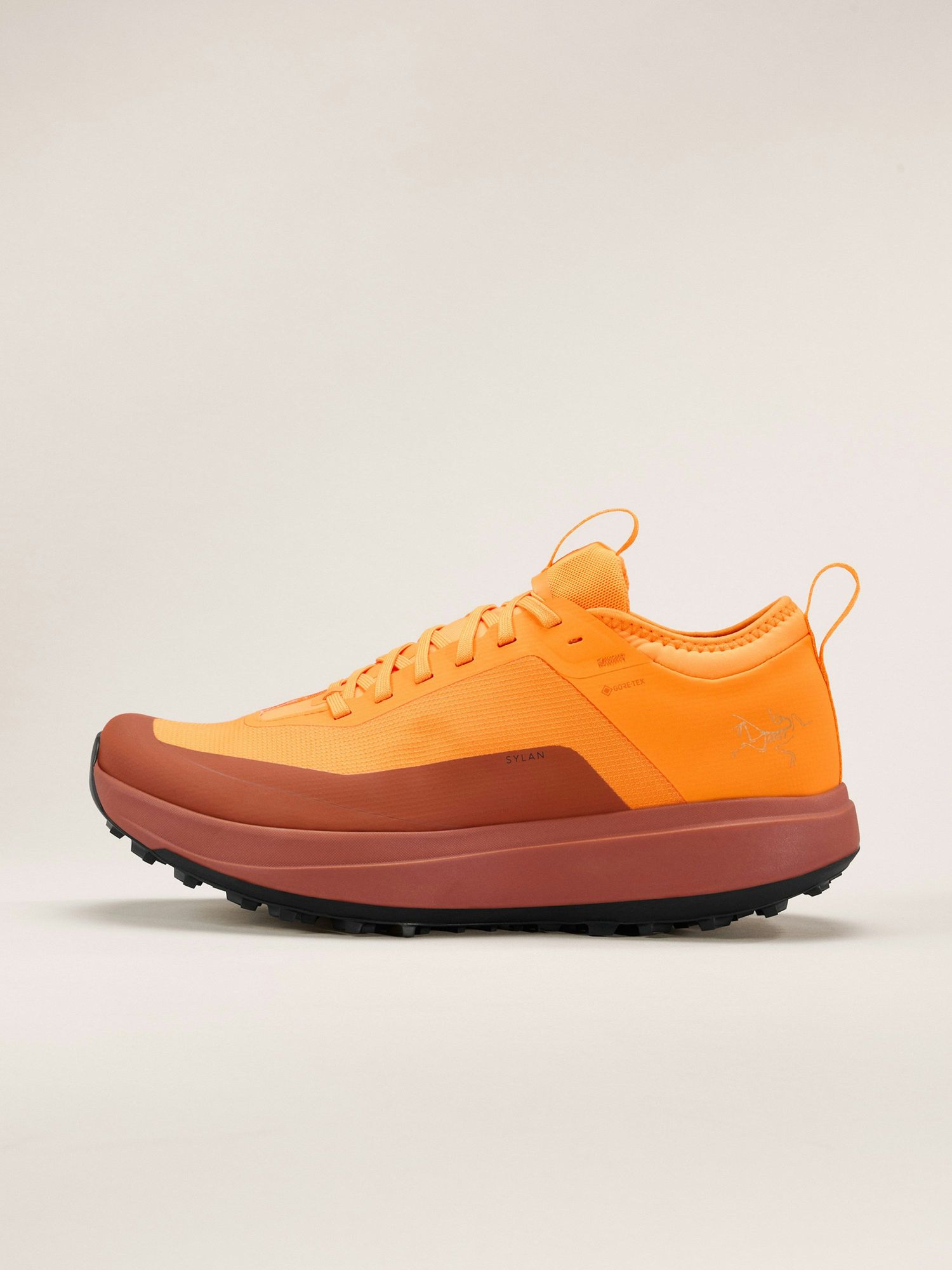 Arc'teryx | Sylan GTX | Men 