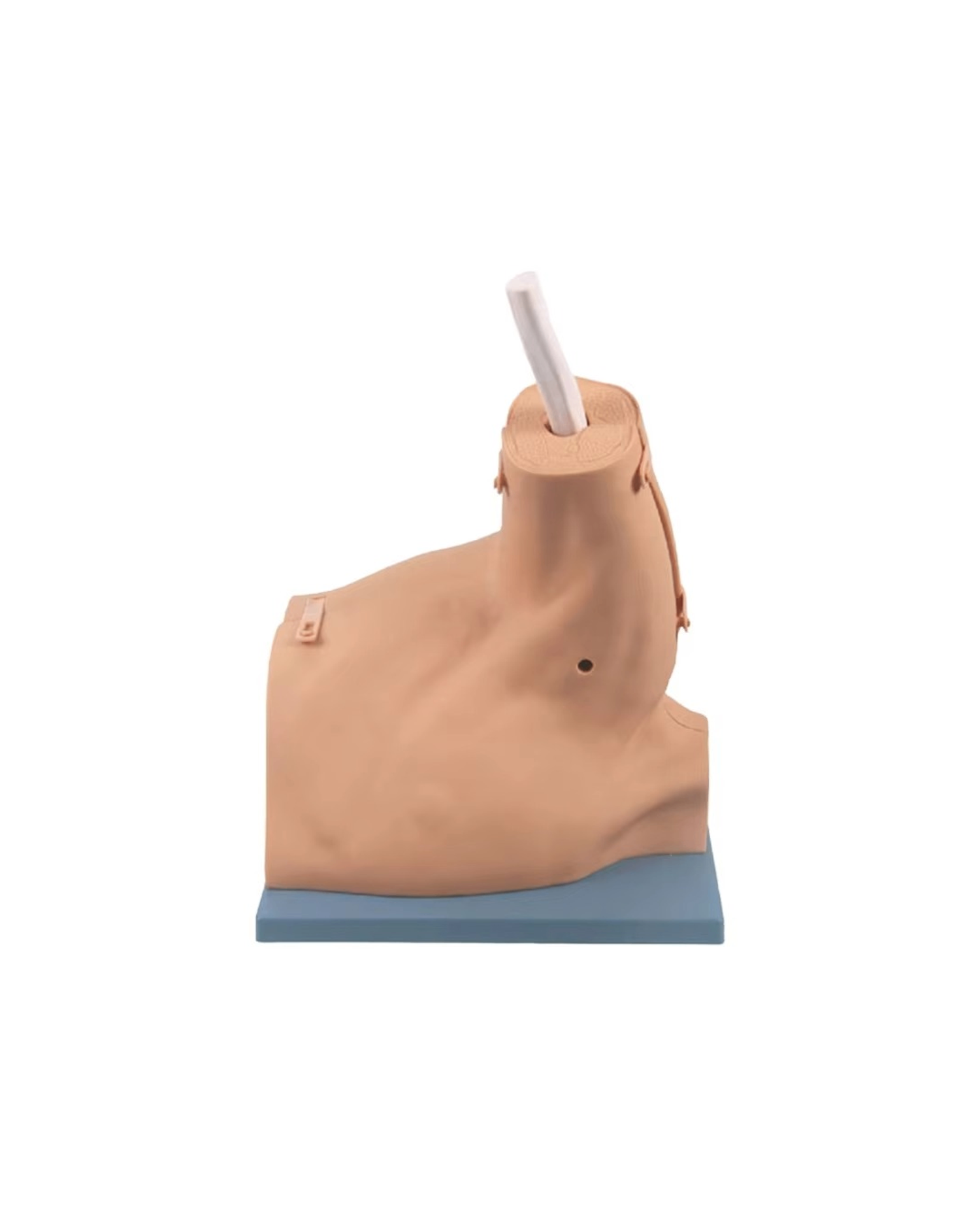 Мөрний үений дурангийн загвар