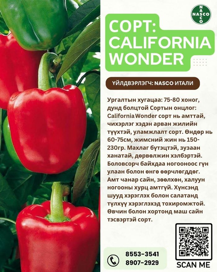 Амтат чинжүү /California Wonder/ 100грамм