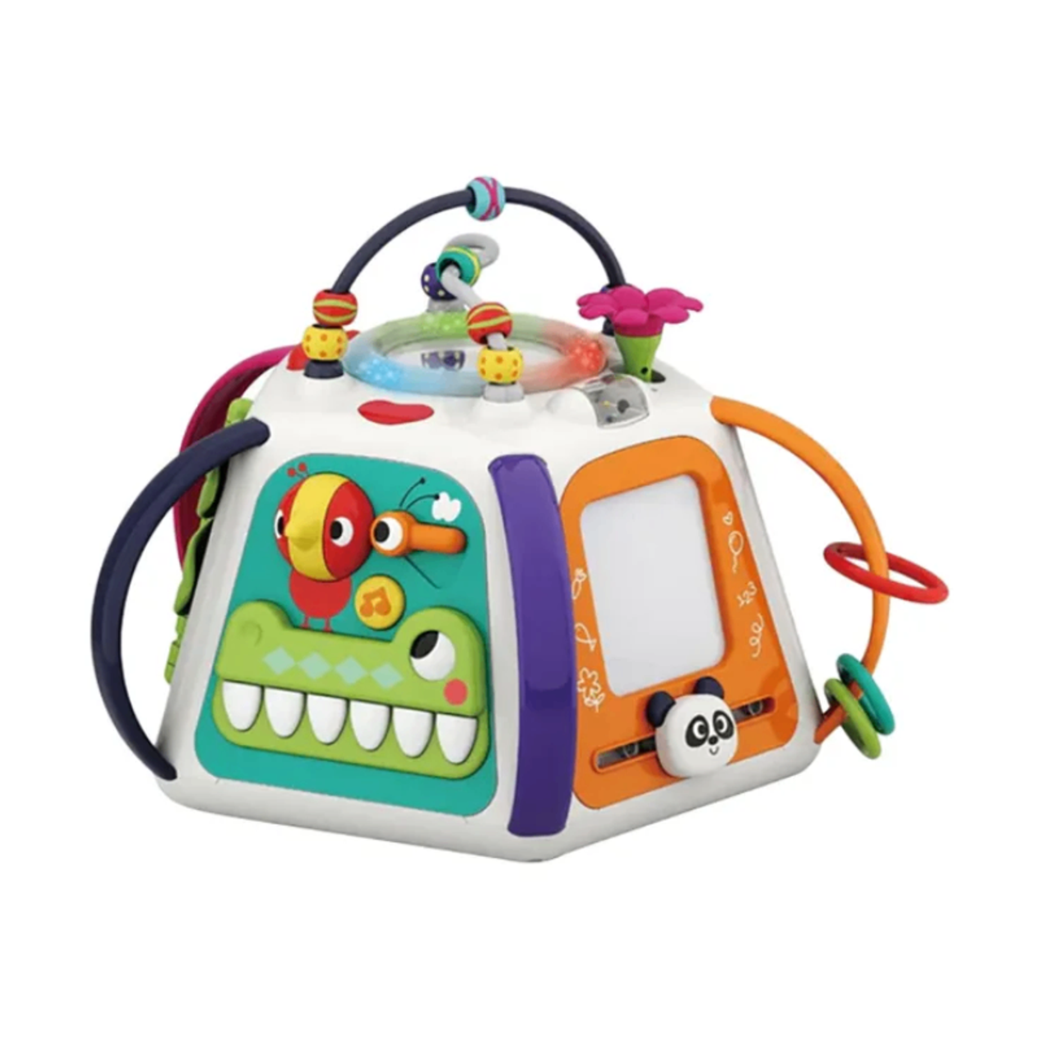 Hola - Forest activity pyramid, 18+сар