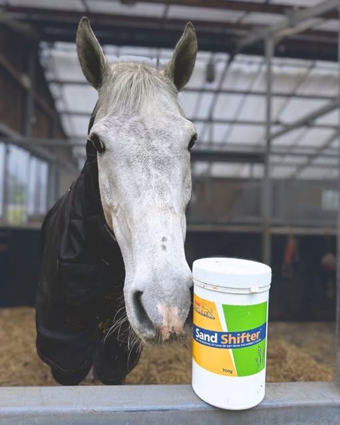 Элс, шороо болон тэжээлийн бус зүйлийг гадагшлуулагч