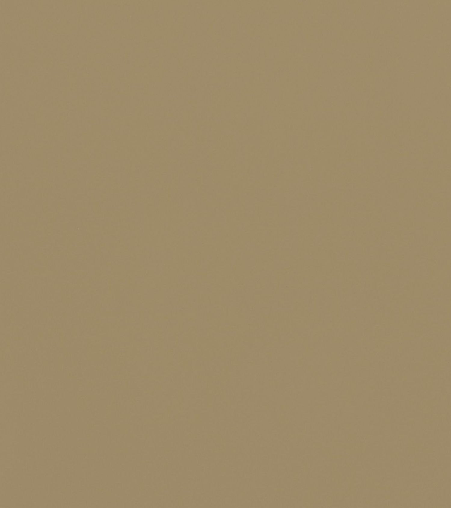 Warm Taupe 1007