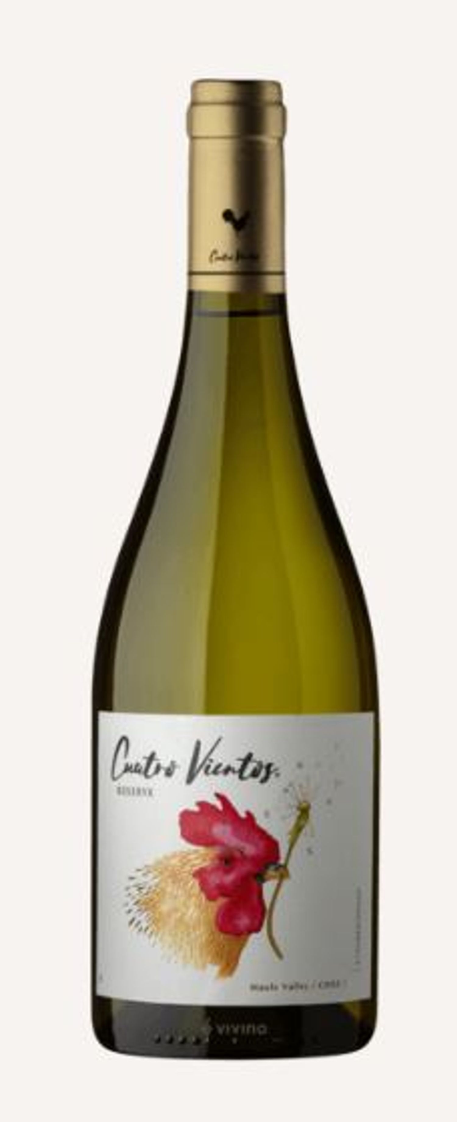 Вино Cuatro Vientos 750мл