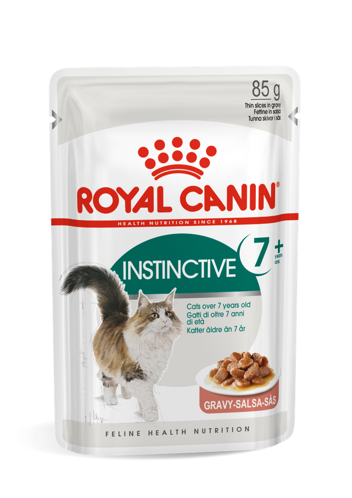 Wet Instinctive Gravy 7+ 1x12