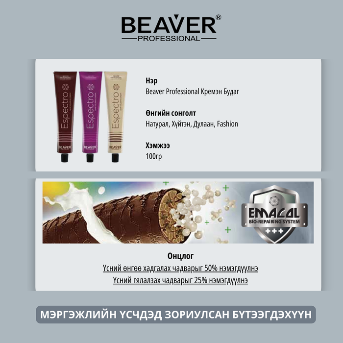 【САЛОНЫ БУДАГ】АЗИ ҮСЭНД ЗОРИУЛАН ХӨГЖҮҮЛСЭН, АМЕРИКИЙН BEAVER PROFESSIONAL БРЭНДИЙН БУДАГ