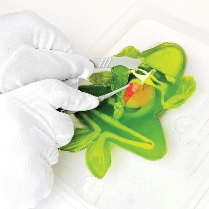 Slimy Lab dissect it 