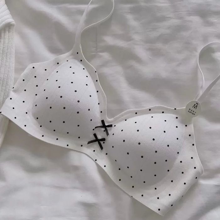 dan bra