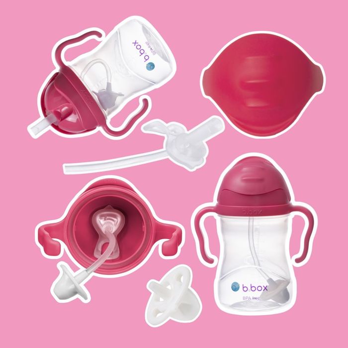 240мл Хүндрүүлэгчтэй усны аяга / Sippy cup - raspberry