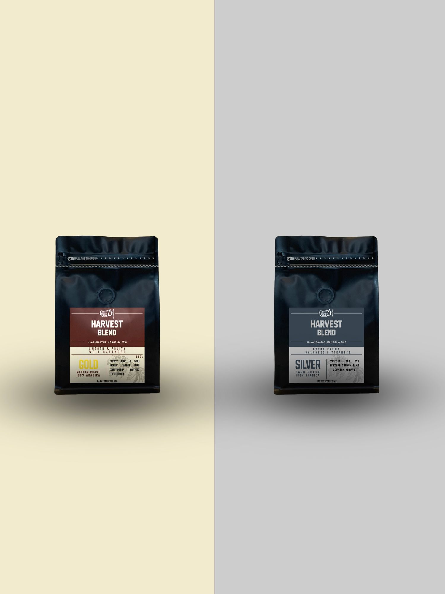 GOLD x SILVER / 200g x 2 /