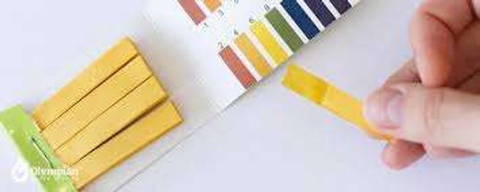 Ус болон хоолны материалын рН тест /цаасан/