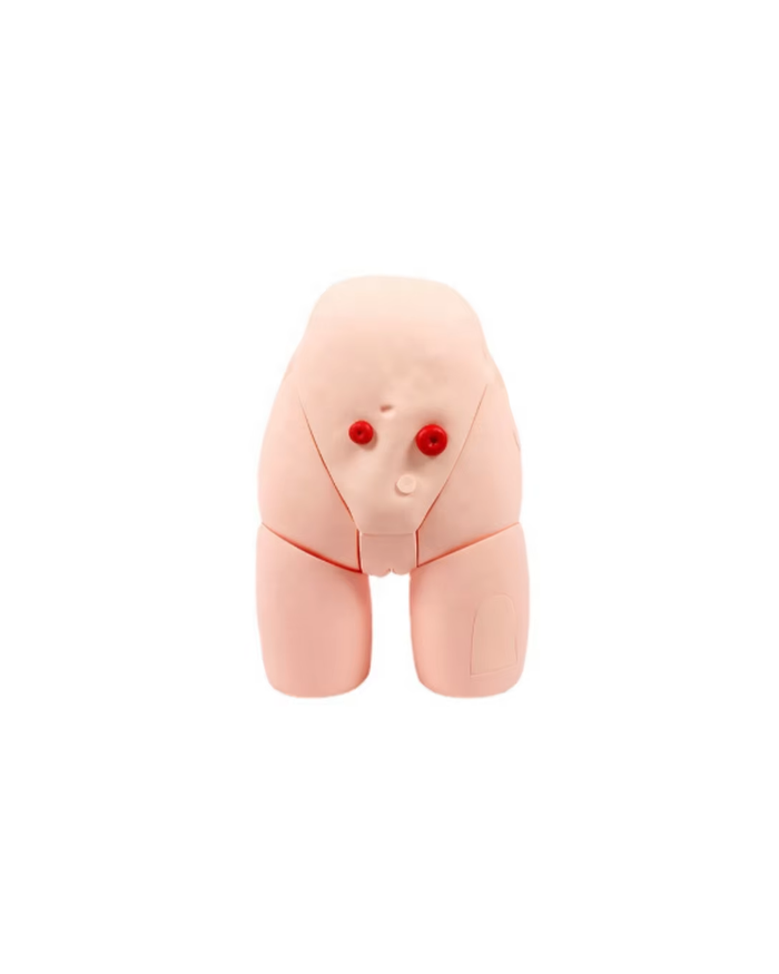 Эмэгтэй шээсний катетер тавих загвар